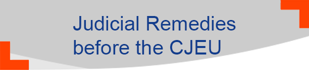 Judicial Remedies before the CJEU